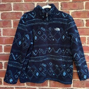 The North Face Campshire Sherpa Fleece Full Zip Blue Mens Small NEW